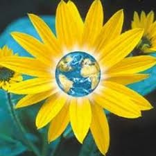 sunflower logo